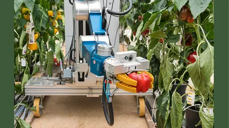 Automated Harvesting Robot CROPS.<br />
Picture: Uli Benz / TUM