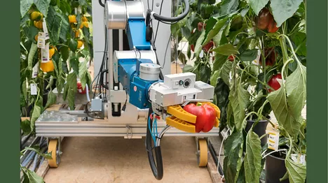 Automatischer Ernteroboter CROPS.<br />
Bild: Uli Benz / TUM